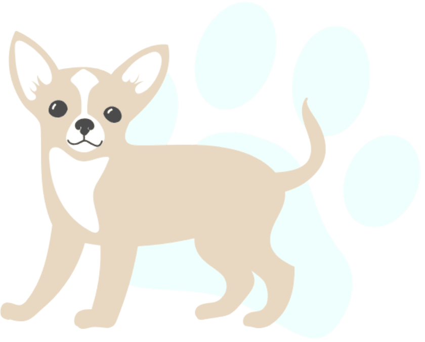 りとるほっぷ