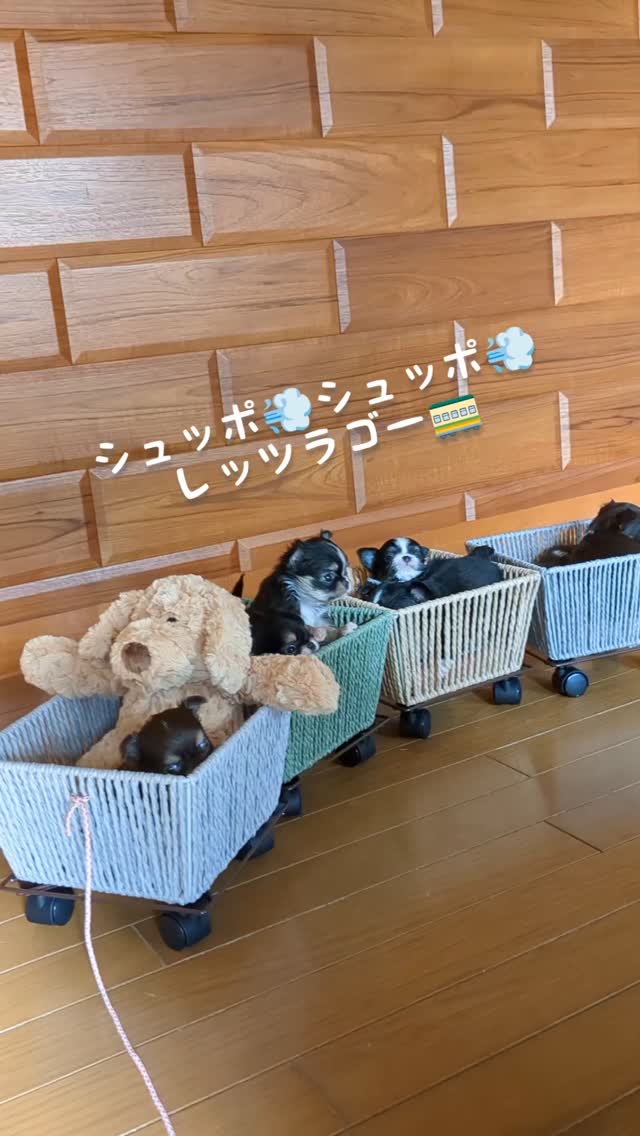 理想的な食事とは?